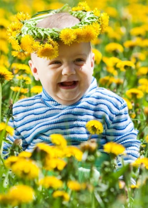 bebês fofos em meio a flores amarelas