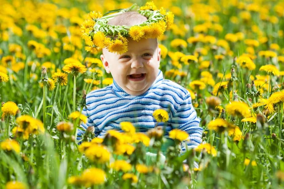 bebês fofos em meio a flores amarelas