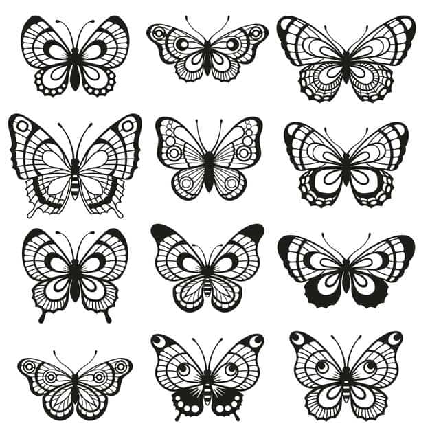 borboleta Ideias de tatuagem para mulheres 2021
